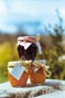 bougies, salon de th� � Biot en Provence