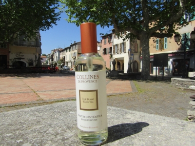 PARFUM D?INTÉRIEUR EN SPRAY THE BLANC 100ML : Parfums d'ambiance